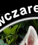 weiße schaferhunde